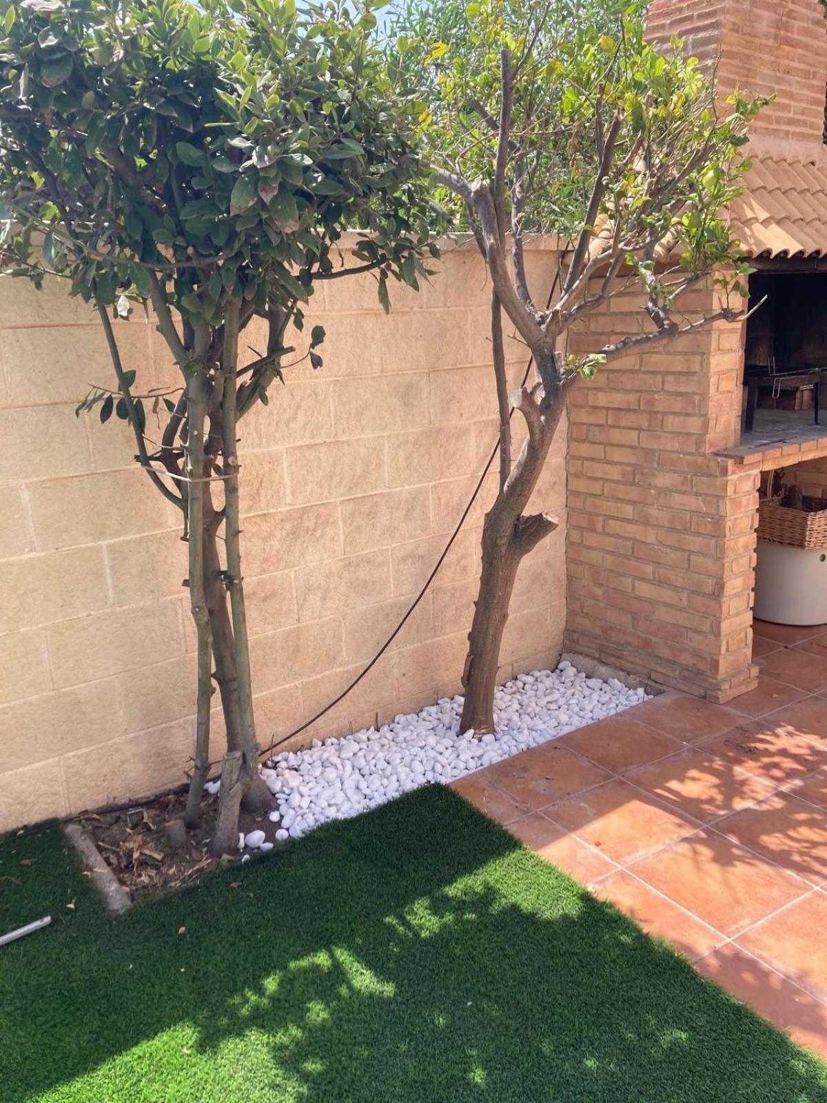 Luxury Villa 20Mts Far From The Sea Orihuela Exterior photo